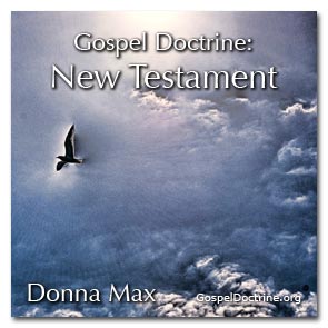 New Testament Collection